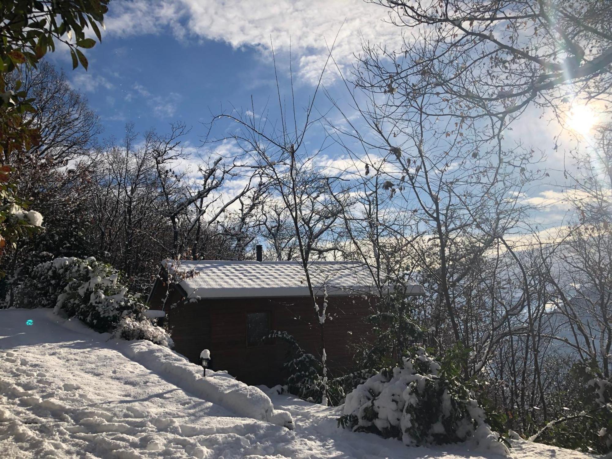 "La Romantica" Rifugio Nel Bosco Astano Exterior photo